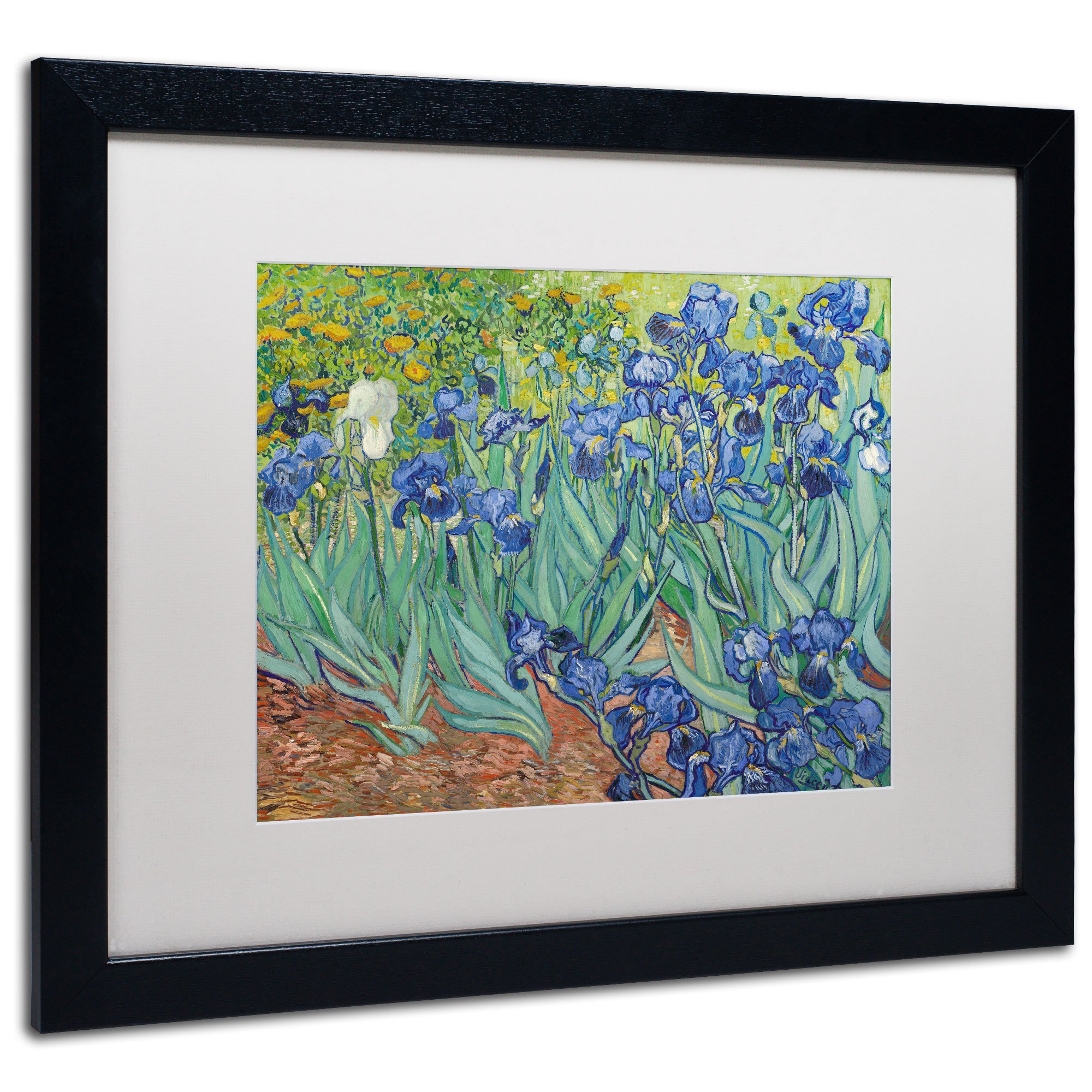Amazon.co.jp: Trademark Fine Art Irises 1889 アートワーク
